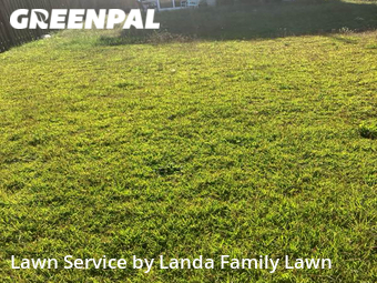 Yard Cutting nearby Lexington, SC, 