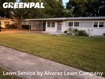 Lawn Servicein Winter Park,32789,Yard Cutting by Alvarez Lawn Company, work completed in Dec , 2025