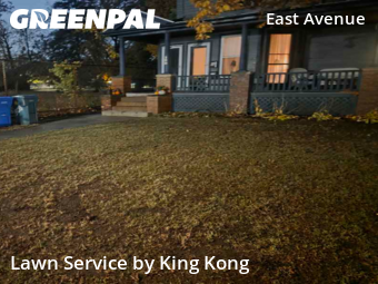 Yard Cutting in Rochester, 14607, Yard Care Services by King Kong, work completed in Nov , 2025
