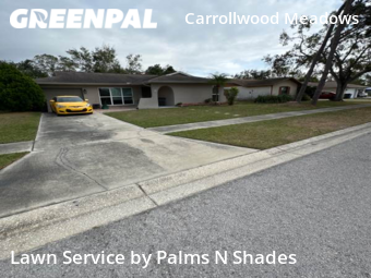 Lawn Mow nearby Tampa, FL, 