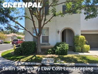Lawn Cut nearby Clovis, CA, 