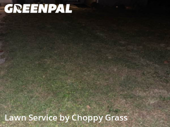 Grass Cut nearby Hillsdale, NJ, 