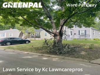 Lawn Carein Kansas City,64114,Lawn Cutting by Kc Lawncarepros, work completed in Nov , 2025