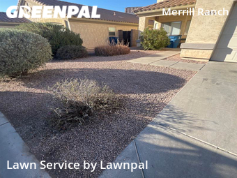 Yard Cutting nearby Apache Junction, AZ, 
