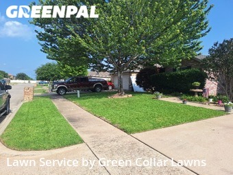 Yard Cutting nearby Grand Prairie, TX, 