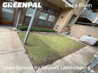 Yard Cutting nearby Dallas, TX, 