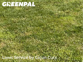 Yard Cutting nearby Murfreesboro, TN, 