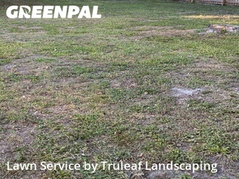 Lawn Service nearby Bradenton, FL, 