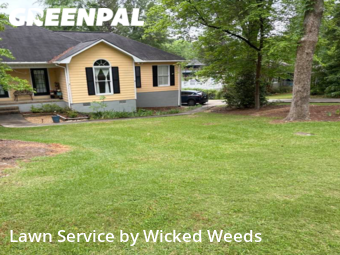 Lawn Mow nearby Macon, GA, 