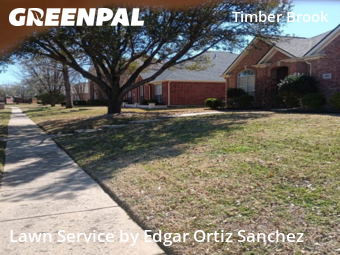 Lawn Mow nearby Plano, TX, 