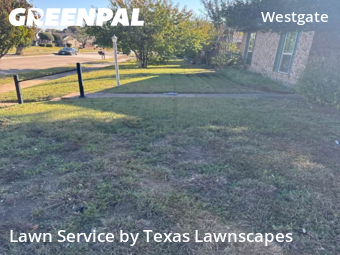 Lawn Cutin Plano,75023,Lawn Service by Texas Lawnscapes, work completed in Dec , 2025