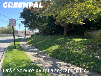 Yard Cutting nearby Drexel Hill, DE, 