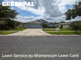 Lawn Cut nearby Wesley Chapel, FL, 