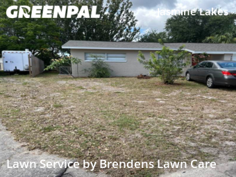 Grass Cut nearby Port Richey, FL, 