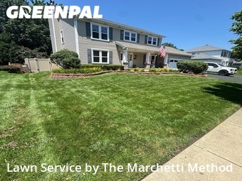 Lawn Mowing Service nearby Bolingbrook, IL, 