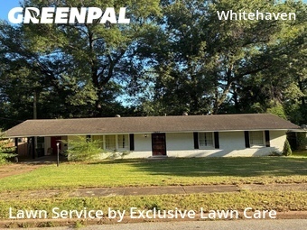 Grass Cut nearby Memphis, TN, 