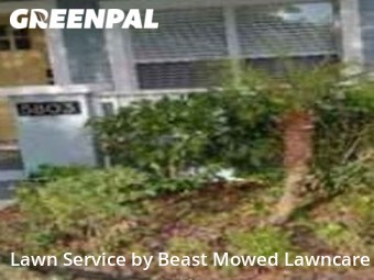 Lawn Cut nearby Tampa, FL, 