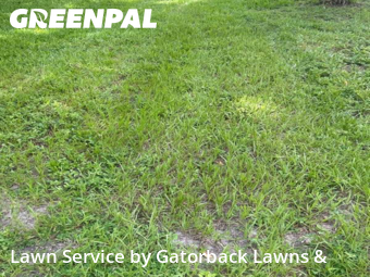 Lawn Care Service nearby Tampa, FL, 