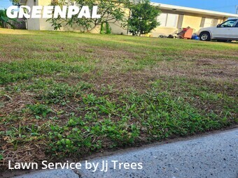 Yard Cutting nearby Clearwater, FL, 