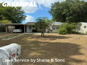 Yard Cutting nearby St. Petersburg, FL, 