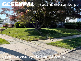 Affordable Landscaping In Yonkers,10704,Landscaping Cleanup by Harlem Mowers, work completed in Oct , 2025