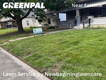 Lawn Cut nearby Indianapolis, IN, 