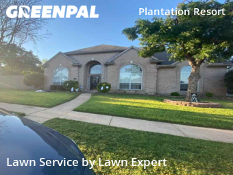 Grass Cut nearby Frisco, TX, 