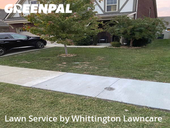 Lawn Care nearby Lebanon, TN, 