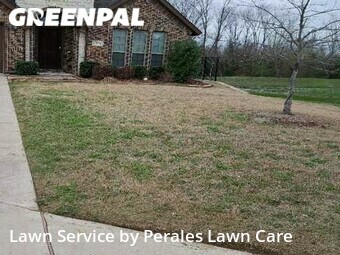 Lawn Care nearby Princeton, TX, 