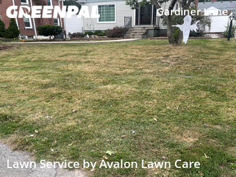 Lawn Service nearby Louisville, KY, 