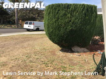 Lawn Cut nearby Gardena, CA, 