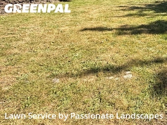 Backyard Landscaping In Kent,98042,Landscaping Services by Passionate Landscapes, work completed in Jun , 2026