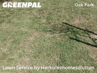 Yard Mowing nearby San Diego, CA, 