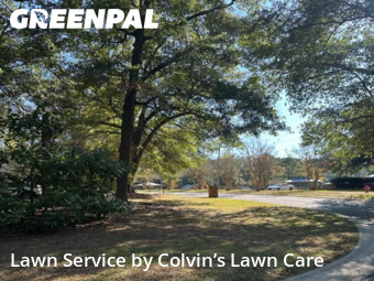 Backyard Mowing in Daphne, 36526, Backyard Mowing by Colvin’s Lawn Care, work completed in Dec , 2025