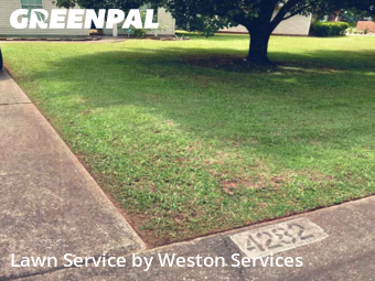 Grass Cut nearby Bessemer, AL, 