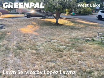 Lawn Carein Bellevue,98008,Lawn Service by Lopez Lawnz, work completed in Dec , 2025