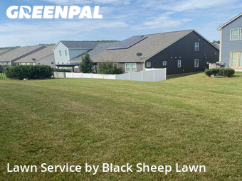 Lawn Cut nearby Charlotte, NC, 