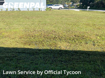 Lawn Mow nearby Palm Coast, FL, 