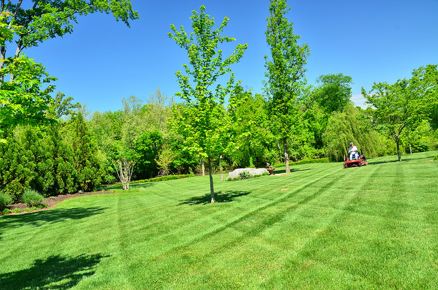 When should I fertilize my lawn??