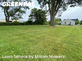 Lawn Mowing Service nearby Warren, MI, 