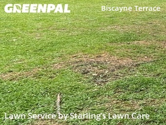 Lawn Care Service nearby Jacksonville, FL, 