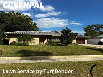 Lawn Cut nearby Dunedin, FL, 