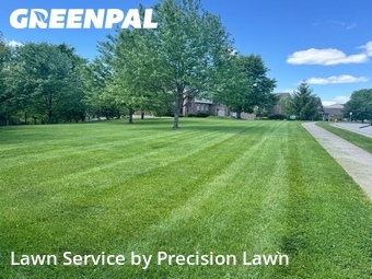 Lawn mowed in Burlington, 41005