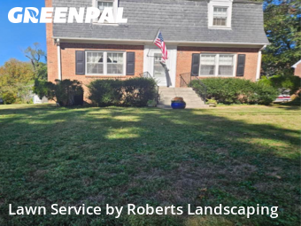 Lawn Mowing Service nearby Chevy Chase, VA, 