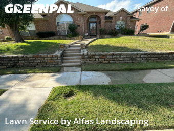 Yard Care in Carrollton, 75007, Grass Services by Alfas Landscaping, work completed in Nov , 2025