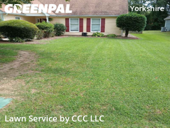 Grass Cut nearby Charlotte, NC, 