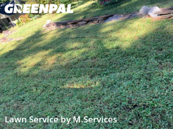 Lawn Cutting nearby Greensboro, NC, 