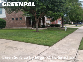 Lawn Service nearby Frisco, TX, 