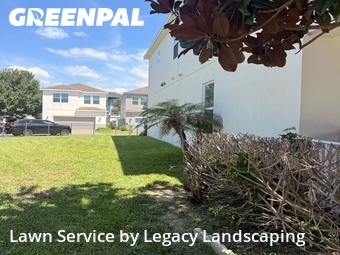 Lawn Cutting nearby Winter Garden, FL, 