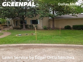 Grass Cut nearby Plano, TX, 